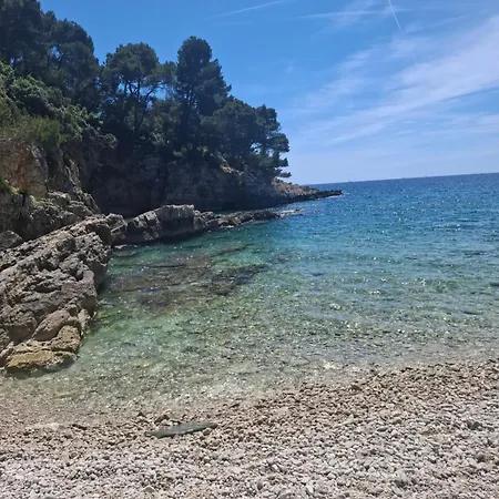 Διαμέρισμα Tartini