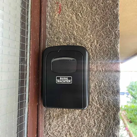 아파트 Tartini 풀라